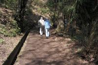 Levada-Wanderung