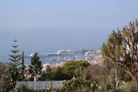 Blick zum Hafen von Funchal