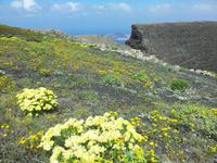 Wanderreise auf Lanzarote - Singlereisen - Wandern - Lanzarote - Spanien