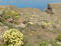 Wanderreise auf Lanzarote - Singlereisen - Wandern - Lanzarote - Spanien