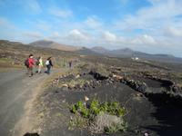 Wanderreise auf Lanzarote - Singlereisen - Wandern - Lanzarote - Spanien