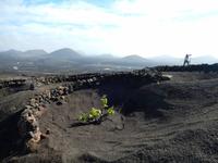 Wanderreise auf Lanzarote - Singlereisen - Wandern - Lanzarote - Spanien