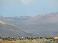 Wanderreise auf Lanzarote - Singlereisen - Wandern - Lanzarote - Spanien