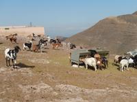 Wanderreise auf Lanzarote - Singlereisen - Wandern - Lanzarote - Spanien