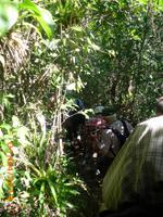 Wanderung Parque Guanayara