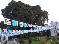 Mexiko Rundreise - Kolonialstädte. Mayakultur, Karibik