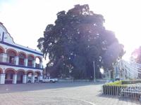 Mexiko Rundreise - Kolonialstädte. Mayakultur, Karibik