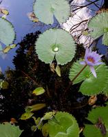 Mexiko Rundreise - Kolonialstädte. Mayakultur, Karibik