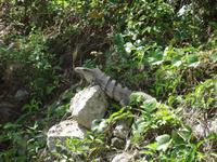 Mexiko Rundreise - Kolonialstädte. Mayakultur, Karibik