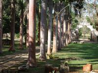 Mexiko Rundreise - Kolonialstädte. Mayakultur, Karibik