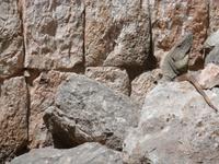 Mexiko Rundreise - Kolonialstädte. Mayakultur, Karibik