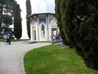 Auch Zypressen erfreuen unsere Augen, hier die cypressus stricta.