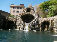 in den Vatikanischen Gärten