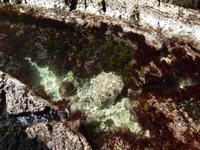 Herrlich klares Wasser.