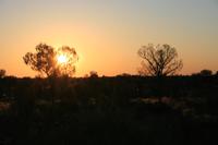 Sonnenaufgang am Ayers Rock