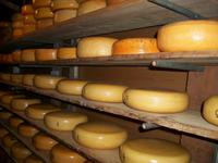 Besuch einer Käserei