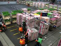 Blumenversteigerung in Aalsmeer