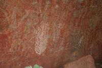 Felszeichnungen am Ayers Rock