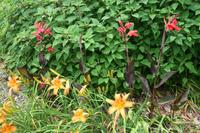 Botanischer Garten Sydney