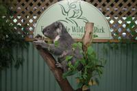 Im Featherdale Tierpark