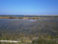 Salinen bei Trapani