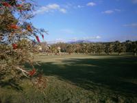 Unser Hotel Fiesta Athenee Campofelice