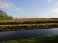 außerhalb des Keukenhofs reihen sich streifenförmig die Blumenfelder