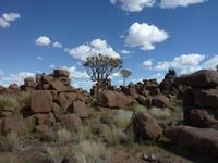 Spielplatz der Giganten