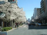 Tokio - auf den Straßen der Stadt