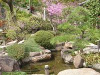 Kamakura - Im Garten des Hasedera-Tempels