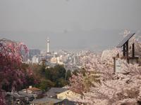 Kyoto - Blick vom Kiyomizu - Tempel auf Kyoto