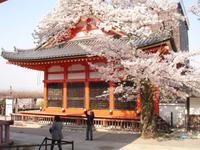 Kyoto - am Kiyomizu - Tempel 