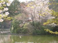 Kyoto - Ryonaji-Tempel mit Zen-Garten