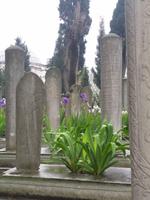 Friedhof an der Süleymaniye-Moschee, Istanbul