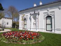 Tulpentraum in Istanbul