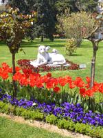 Dolmabahce-Palast, Istanbul