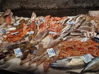Frischer Fisch