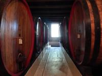 Kellerführung im Weingut Blauuwklippen