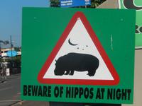 Achtung Hippos!