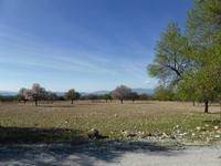 Landschaftsbild in Andalusien