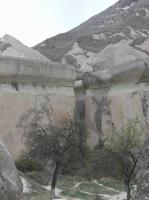 Was die Natur so hervorbringt