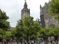 Sevilla - im Innenhof der Kathedrale
