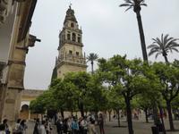 Cordoba - im Innenhof der Mezquita