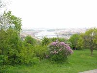 Blick vom Gellertberg auf das Stadtzentrum