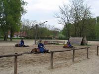 Eindrücke von der Pferdevorführung 5