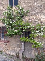 4 Tage Jubiläumsreise in die Saale-Unstrut-Region