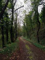 4 Tage Jubiläumsreise in die Saale-Unstrut-Region