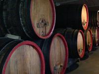 4 Tage Jubiläumsreise in die Saale-Unstrut-Region