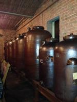 4 Tage Jubiläumsreise in die Saale-Unstrut-Region