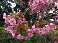 4 Tage Jubiläumsreise in die Saale-Unstrut-Region